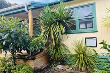 FOR SALE Pickled Parrot Backpackers Hostel, Paihia