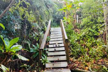 FOR SALE Pickled Parrot Backpackers Hostel, Paihia