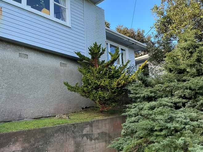 1 Mace Street, Island Bay