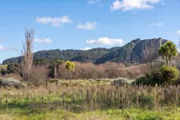 4 and 6 Charles Street, Tinui