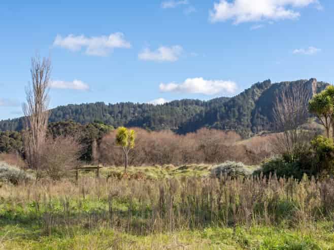 4 and 6 Charles Street, Tinui