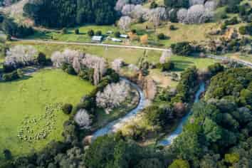 427 Tinui Valley Road, Tinui