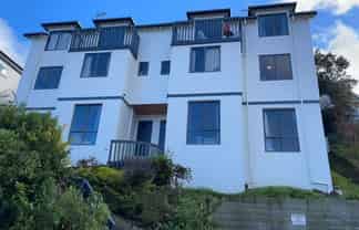 148 Queen Street, North Dunedin