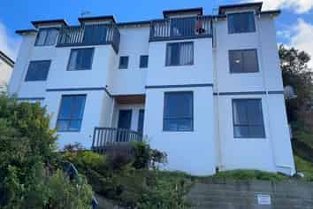 148 Queen Street, North Dunedin