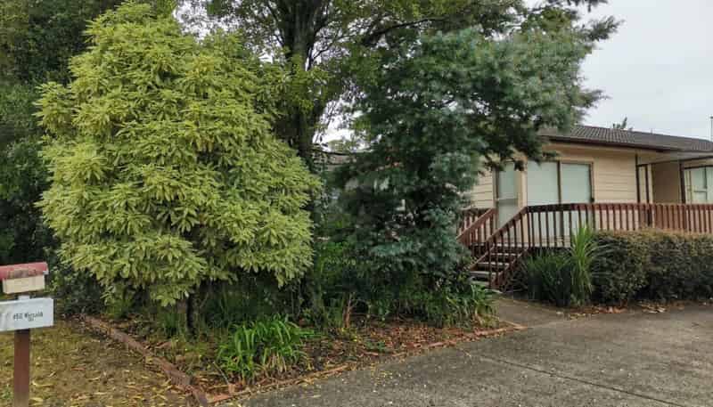49 Lavery Place, Sunnynook