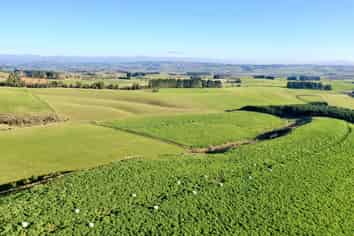  Dalvey School Road, East, Blue Mountains