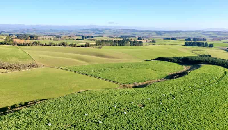  Dalvey School Road, East, Blue Mountains