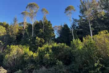 404 Rutherglen Road, Paroa