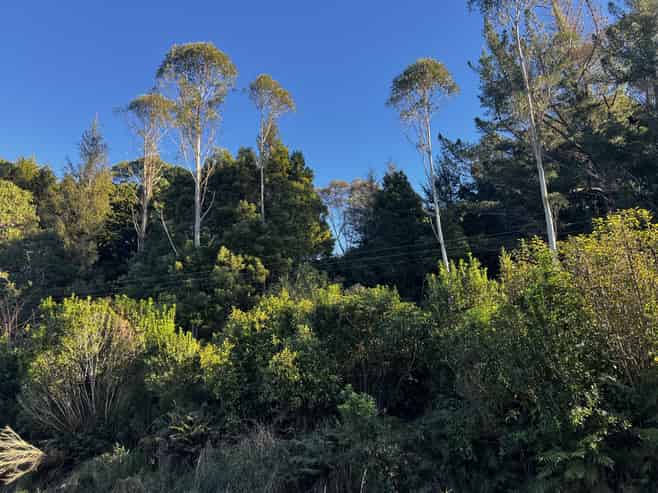 404 Rutherglen Road, Paroa