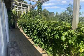 B/140 Attwood Road, Paremoremo