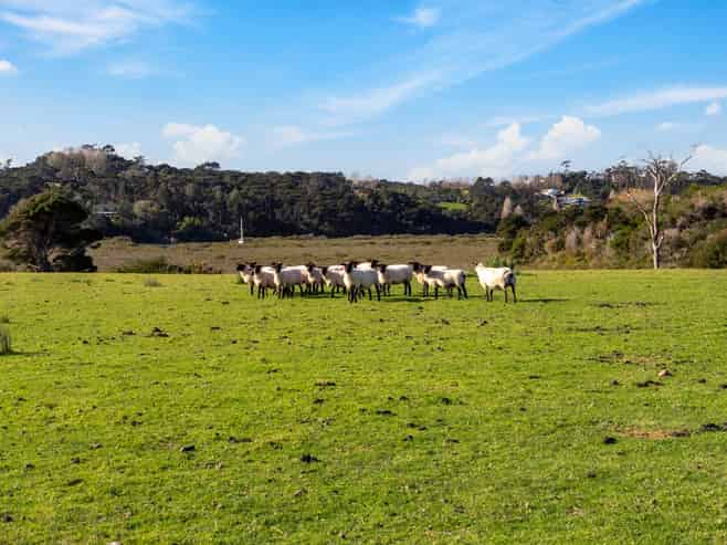 167 Lennon Access Road, Stillwater