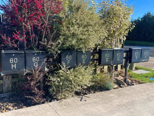 60 Jellicoe Avenue, Tuakau