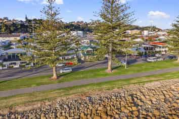 45 Hardinge Road, Ahuriri