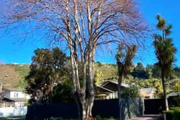 Canterbury - Address withheld