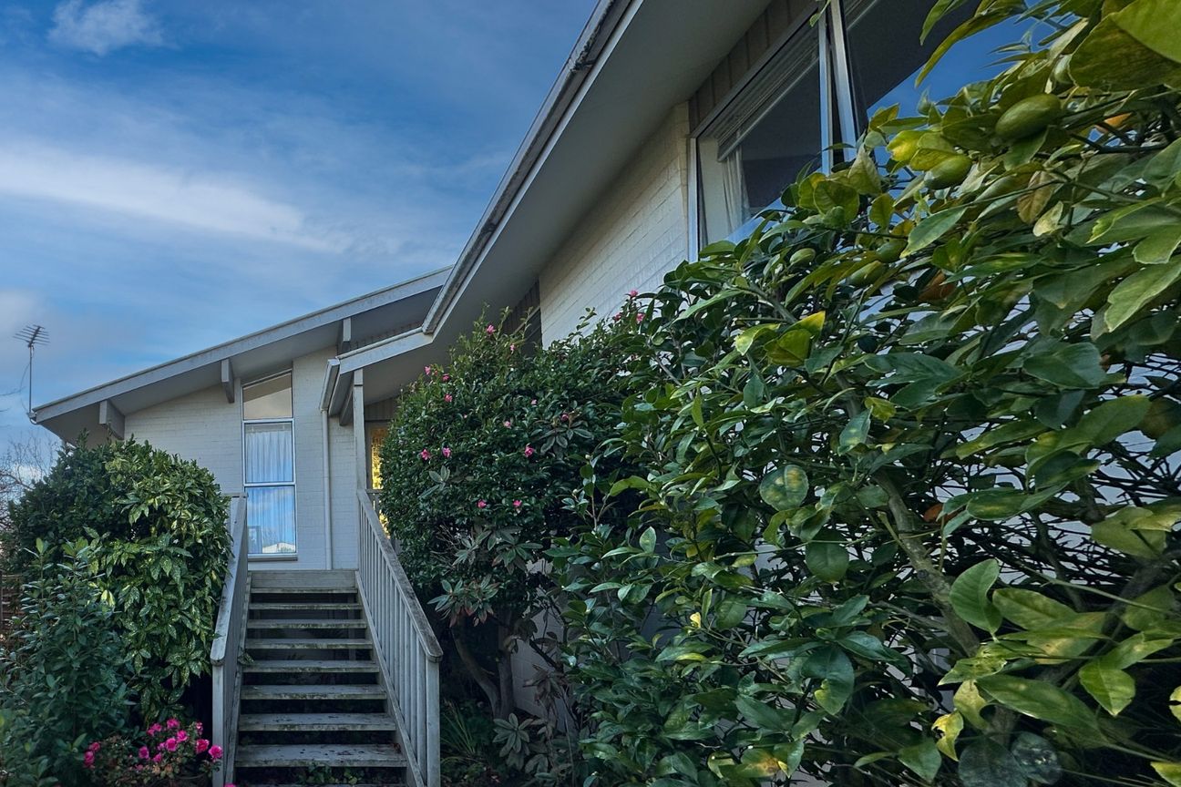 Family Living in Burnside High School Zone Ã¢ÂÂ UC Students Welcome – pohled 2
