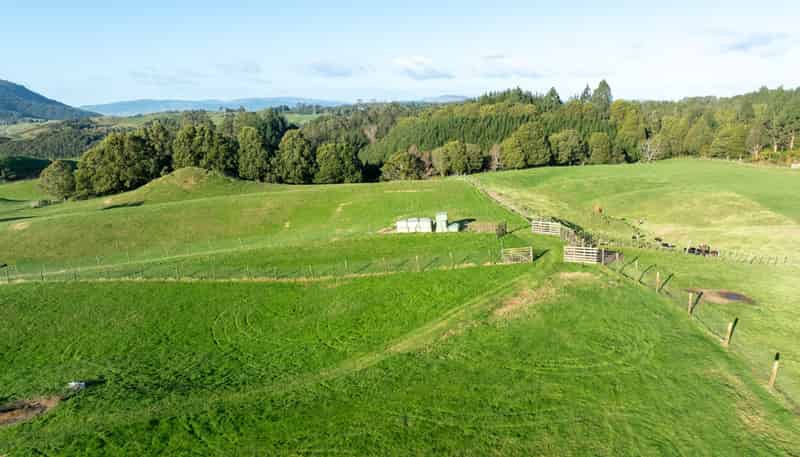 271 Endean Road, Ngongotaha Valley