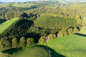 271 Endean Road, Ngongotaha Valley