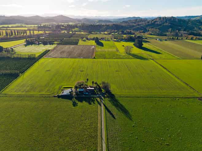 35 Bond Road, Ormond