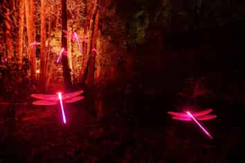Premium Turnkey Immersive Light Experience