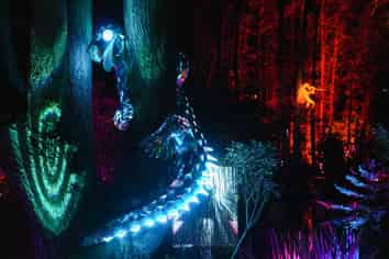 Premium Turnkey Immersive Light Experience