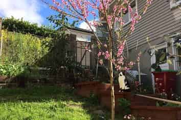 36B Gibraltar Street, Howick