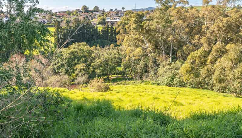 99 Carmen Way, Ohauiti