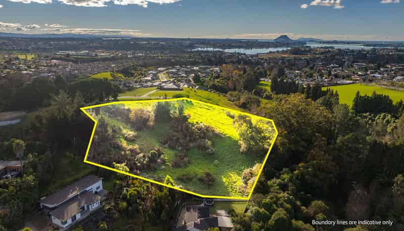 99 Carmen Way, Ohauiti