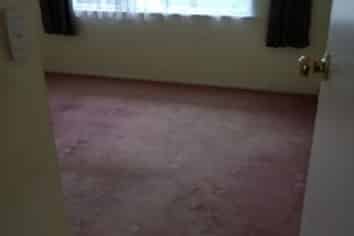 21 May Street, Hamilton East