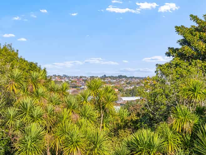 35A Tiverton Road, Avondale