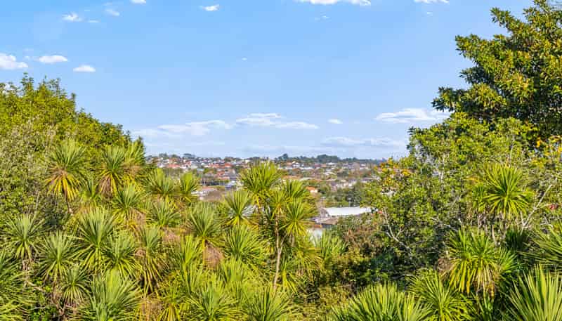 35A Tiverton Road, Avondale