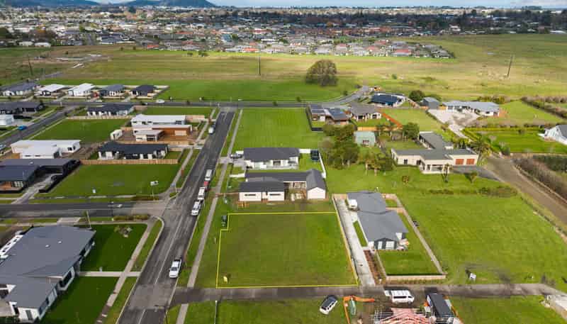 16 Allan Avenue, Makauri