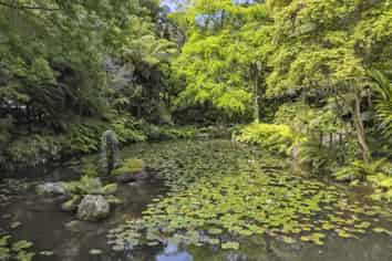 Rapaura Watergardens