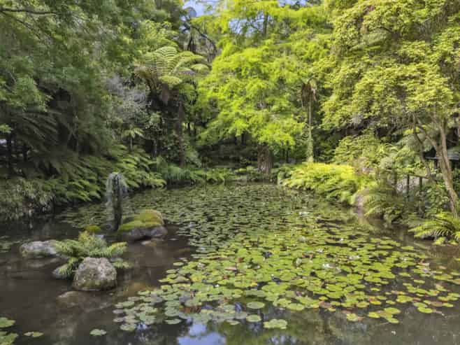 Rapaura Watergardens