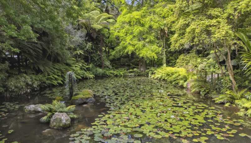 586 Tapu Coroglen Road, Tapu