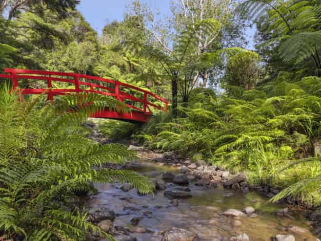 Rapaura Watergardens