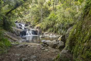 Rapaura Watergardens