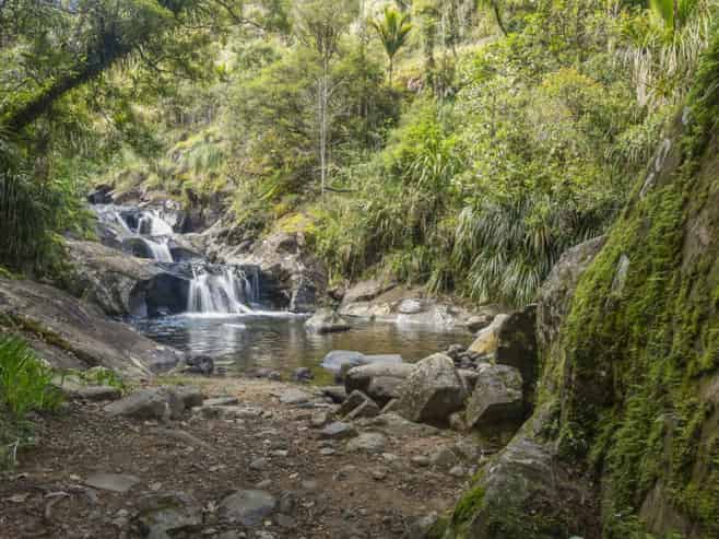 Rapaura Watergardens
