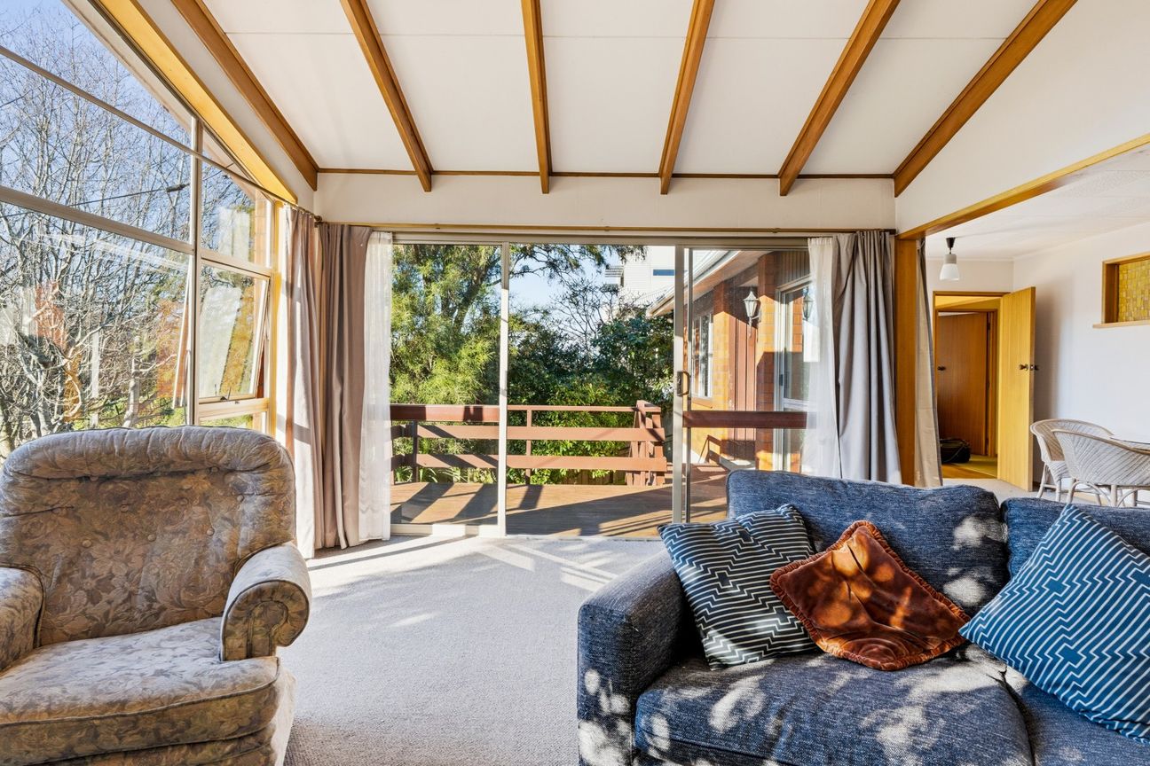 Entry Level to Maori HIll - Vista 6