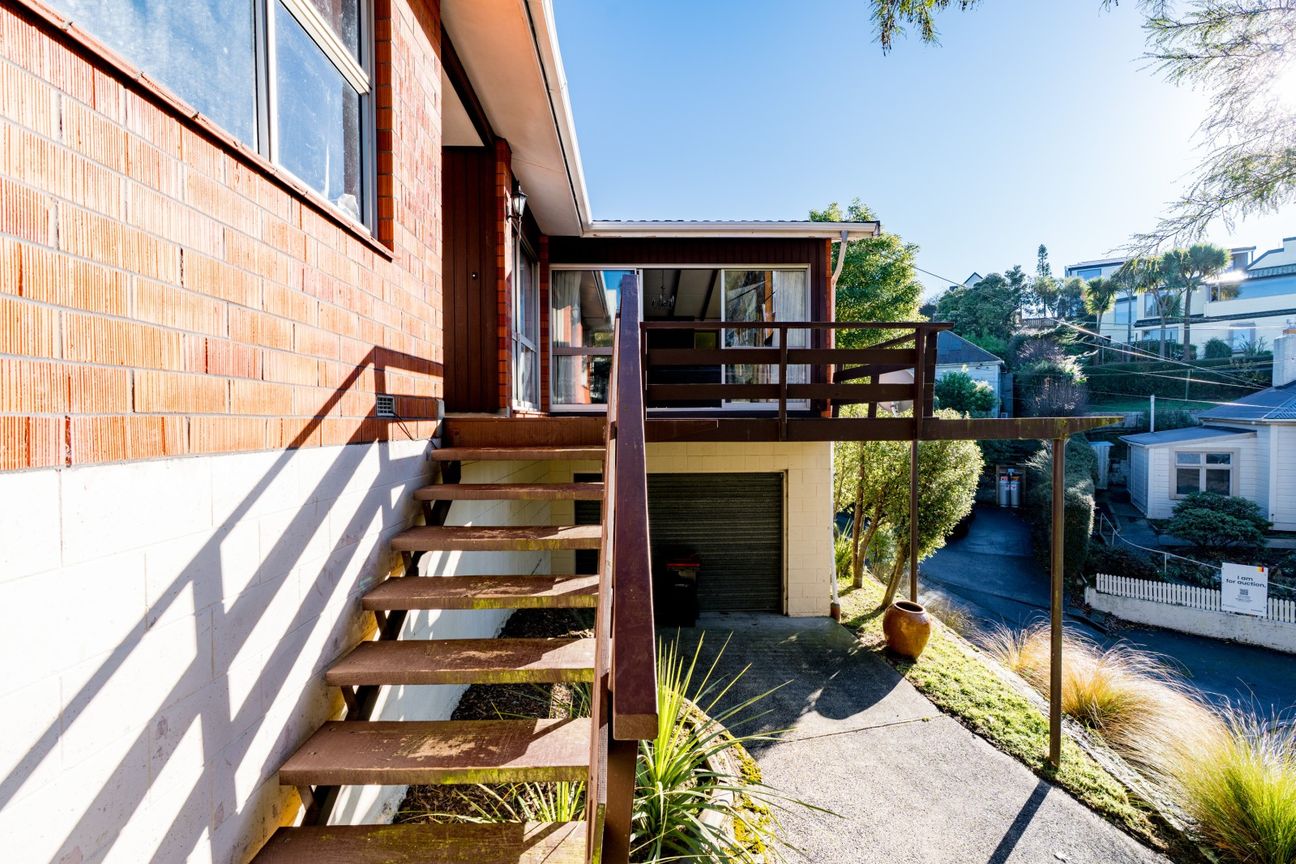 Entry Level to Maori HIll - Vista 5