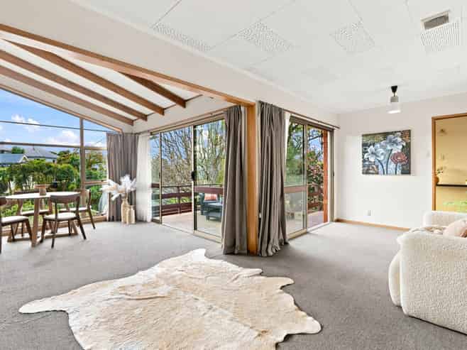 3 Henry Street, Maori Hill