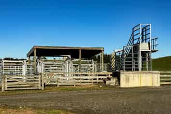 379 Waikaka Road, Maitland