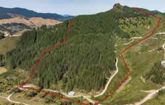 297 Graham Valley Road, Motueka Valley