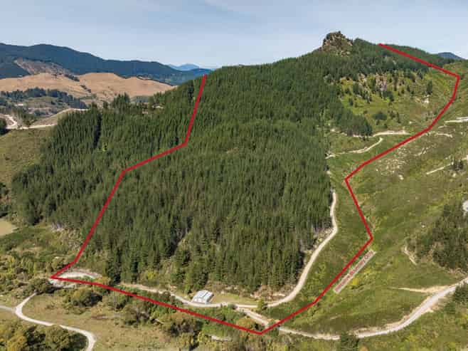 297 Graham Valley Road, Motueka Valley