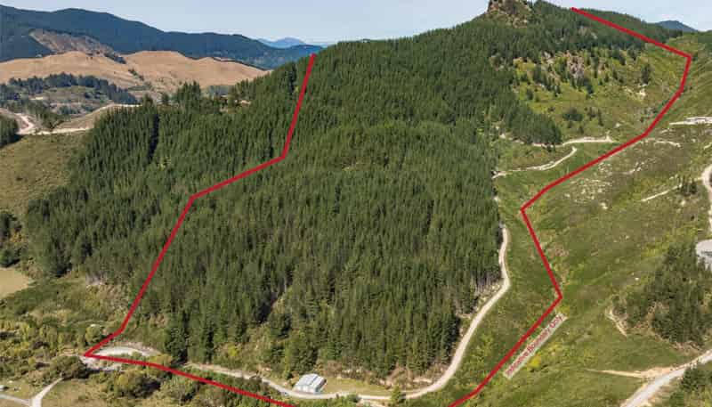 297 Graham Valley Road, Motueka Valley