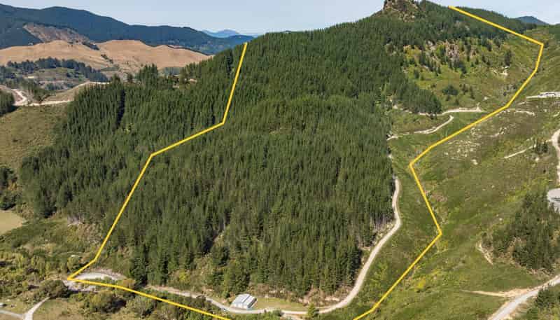 297 Graham Valley Road, Motueka Valley