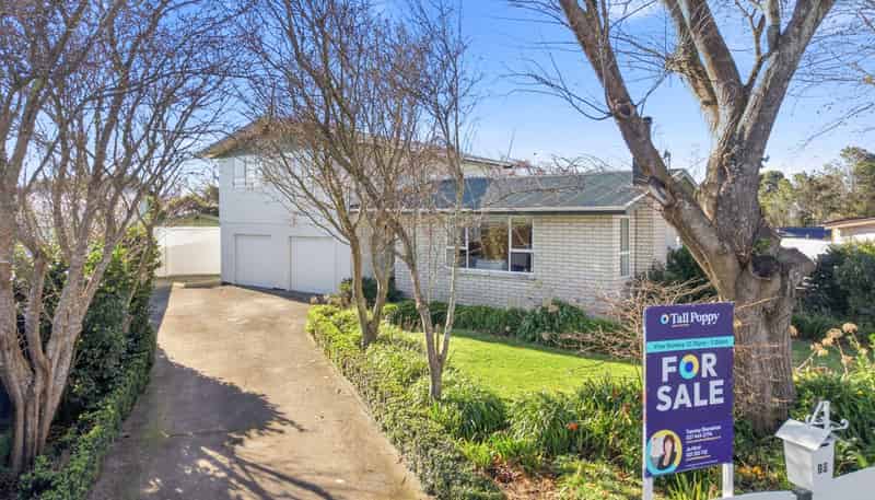 12 Dawson Street, Pahiatua