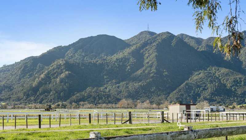 52 Racecourse Road, Te Aroha