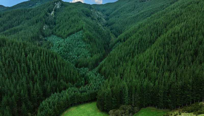  Rocky Creek Forest, Havelock
