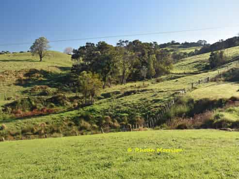 12 Arahanga Road, Paparoa