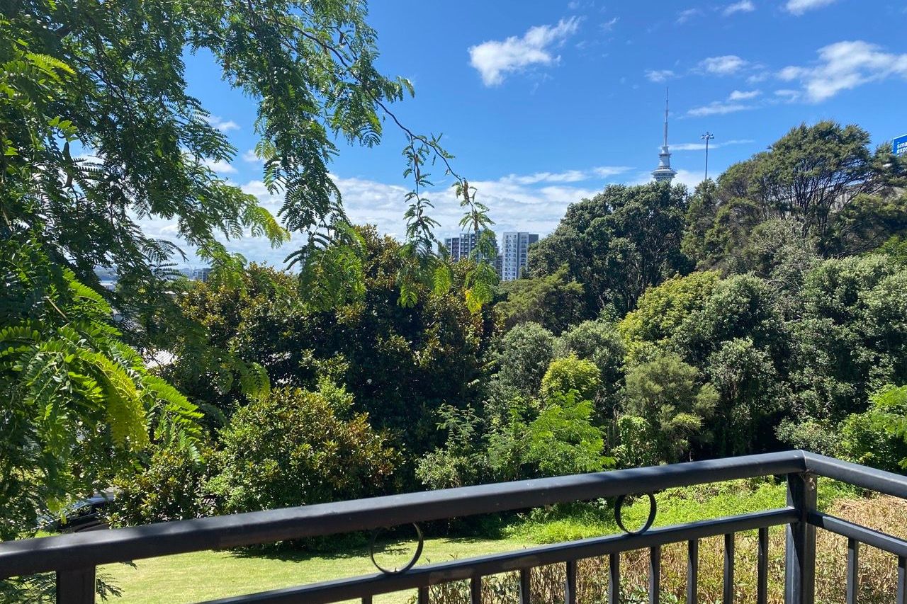 Sunny 1-Bedroom Unit – Ponsonby / K Road Fringe – pohled 4